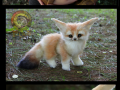 kkj_by_wood_splitter_lee-d9d07t9.png